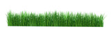 Fototapeta Kuchnia - Fresh spring green grass isolated. Png transparency