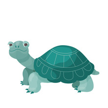 Green Tortoise. Vector Cartoon Illustration. Isolated On White.