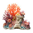 small coral reef isolated on transparent background