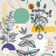 Collage-style summer background. Hand-sketched herbs seamless pattern. Trendy design with botanical sketches and geometric shapes. Elegant flowers for print, poster, fabric and wrapping paper