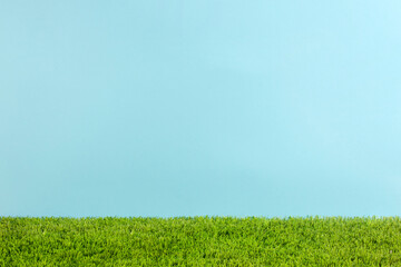 studio grass and blue background for mockup