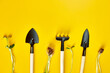 Flat lay gardening tools and greens on yellow background, Spring garden works concept, Copy space for text, top view