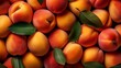 Ripe apricots fruit background with ai generative