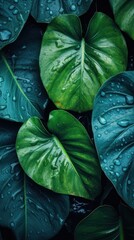 Poster - Jungle foliage with water droplets, creating a fresh and invigorating background for your designs.