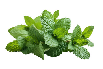 Mint isolated on transparent background. Generative Ai