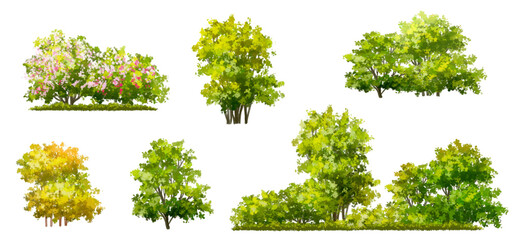 Wall Mural - Vector of green grass or shrub isolated on white background,tree elevation for landscape concept,environment panorama scene,eco design,meadow for spring,autumn 