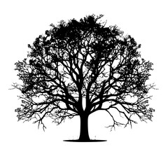 Tree Silhouette isolated on white background 
