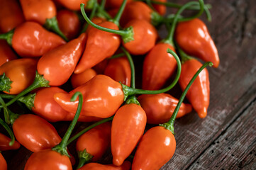 Poster - Lots of Orange fresh Fatalii peppers. Bulk harvest of peppers. Ripe hot African pepper. Spicy food. Bright spices, vegetables. Wooden background. Close-up. Soft focus. Top view. 
