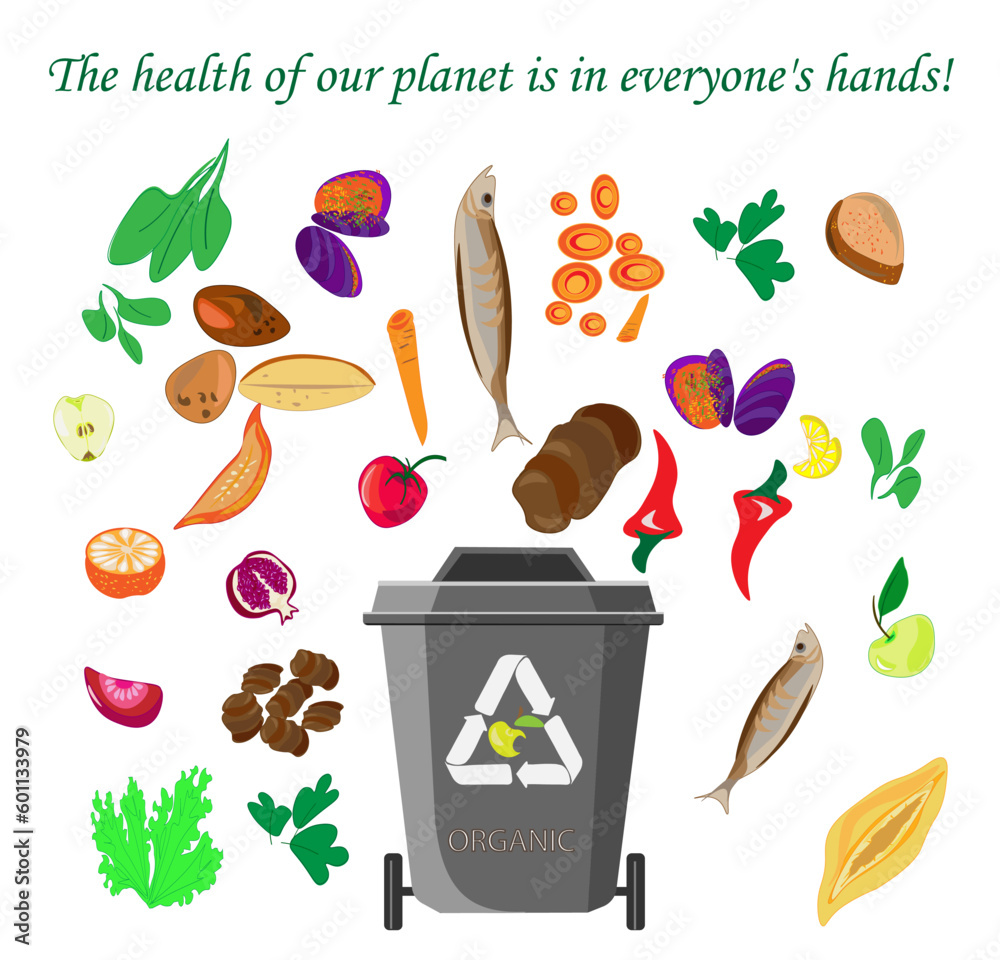 Waste segregation. Sorting garbage by material and type in colored ...