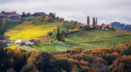 Aufkleber - Wonderful fairy tale nature scenery of Austria at sunset. View on vineyard and old winery house during morning fog under sunlight. Vineyards and countryside landscape in Gamlitz. Rich harvest concept