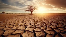 Dead Trees On Dry Cracked Earth Metaphor Drought, Water Crisis And World Climate Change, Generative AI