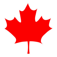 canadian maple leaf, hand draw illustration