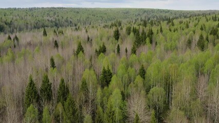 southern urals in spring, a view of the mountain taiga from the air.