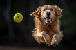 Happy golden retriever dog jumping and catching ball - Generative AI