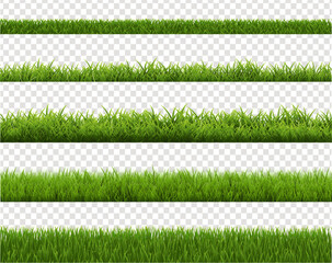 Wall Mural - green grass background