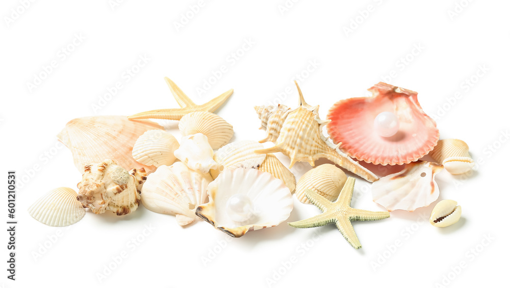 Seashells and starfishes on white background