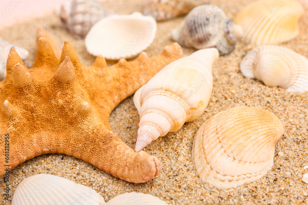 Sand with seashells and starfishes on pink background