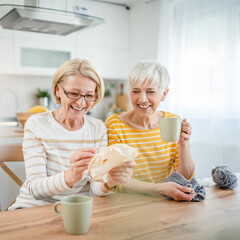 Wall Mural - two women senior mature knitting and embroidery during leisure time