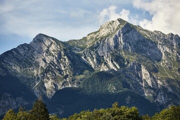 Wall Mural - Summer Mountain Landscape