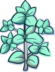 Wall Mural - oregano png graphic clipart design