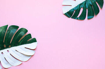 Wall Mural - tropical leaf,leaves collection for design with pastel and mix spotted color.creative and minimal art nature background.decoration pattern