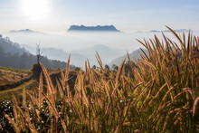Top View Landscape Of Morning Mist With Mountain Layer At Doi Luang Chiang Dao Chiang Mai Thailand.