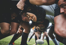 Sports, Rugby And Players In A Scrum On A Field During A Game, Workout Or Training In A Stadium. Fitness, Performance And Group Of Athletes In Position On An Outdoor Grass Pitch For Match Or Practice