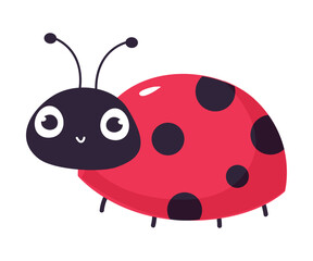 Poster - Cheeful ladybug. Cute little ladybird insect cartoon vector illustration