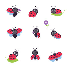 Canvas Print - Cute funny ladybugs set. Little ladybird insects in different poses cartoon vector illustration