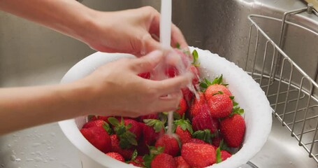 Canvas Print - Wash strawberry in the kitchen at home