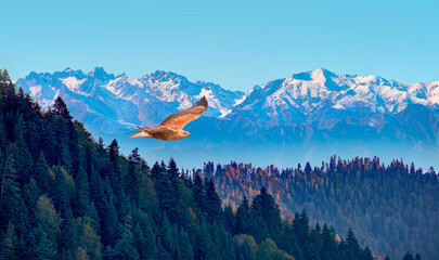  Misty view of the blue mountain range -  Beautiful landscape with cascade blue mountains at the morning
