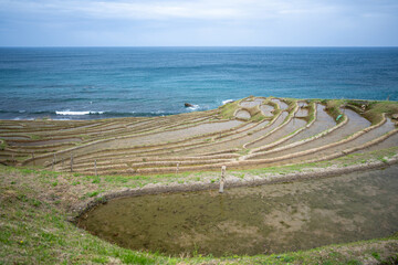 Wall Mural - 石川県輪島市の白米千枚田を観光する風景。日本の田んぼ。Scenic view of Shiromai Senmaida in Wajima City, Ishikawa Prefecture, Japan. Rice fields in Japan.