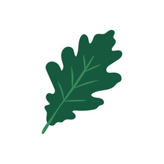 Flat icon oak leaf isolated on white background. Green leaf. Vector illustration.