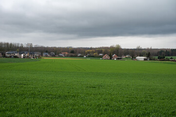 Agriculture fields with the fillage houses in the background the Flemish countryside around Kortenberg, Flemish Brabant, Belgium
