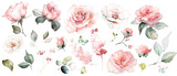 Fototapeta Do pokoju - pink watercolor arrangements with flowers, set, bundle, bouquets with wildflowers, leaves, branches. Botanical illustration