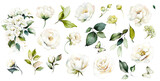 Fototapeta Do pokoju - white watercolor arrangements with flowers, set, bundle, bouquets with wildflowers, leaves, branches. Botanical illustration