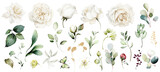 Fototapeta Do pokoju - white watercolor arrangements with flowers, set, bundle, bouquets with wildflowers, leaves, branches. Botanical illustration