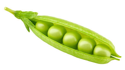 Wall Mural - Pea, isolated on white background, full depth of field