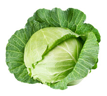 Cabbage Isolated On White Background, Full Depth Of Field