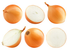Onion, Isolated On White Background, Full Depth Of Field