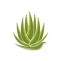 Canvas Print - Aloe Vera logo icon design symbol beauty