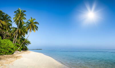Wall Mural - beautiful beach on a tropical island in the maldives