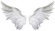 Angel wings isolated on white background , transparent png by ai generative