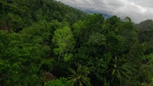 Tropical Island Waterfall Speed Water River Fall Stream Stones Vegetation Rainforest Mountain Valley Aerial View. FPV Sport Drone Shot Exotic Jungle Cascade Fern Greenery Woodland Cliff Creek Pool 4k