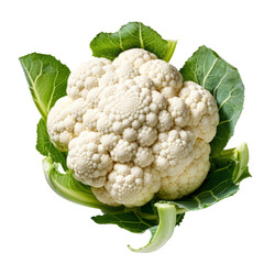 Cauliflower isolated. Illustration AI Generative.