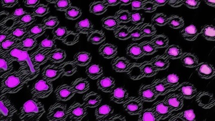 Aufkleber - Wavy texture of black and colored circular shapes on a black background. Motion. Technological pattern.