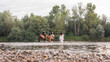Three female riders crossing the shallow river by riding horses at the end of the day. Animal, relaxation, and nature concepts.