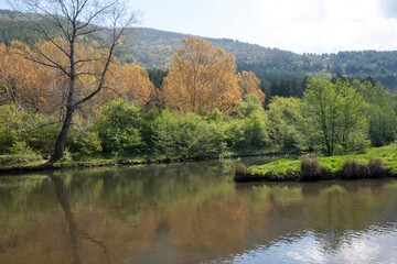 Spring Landscape of Iskar river near Pancharevo lake, Bulgaria