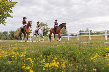 horsewomen riding beautiful horses along the trail at the equestrian center on a bright summer day. 