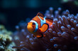 Clownfish Marine Life Anemone Reef. Neural network AI generated art Generative AI